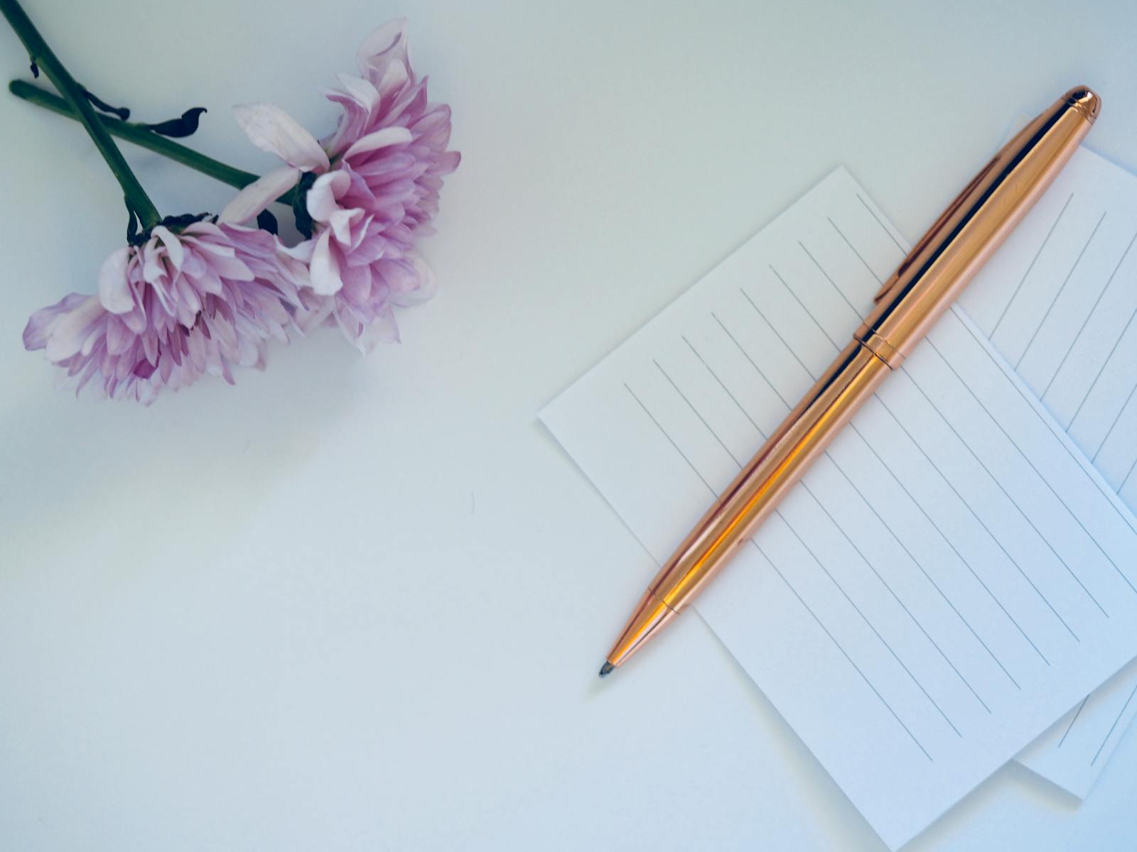 A minimalist still life featuring a pen, blank cards, and flowers on a white background.